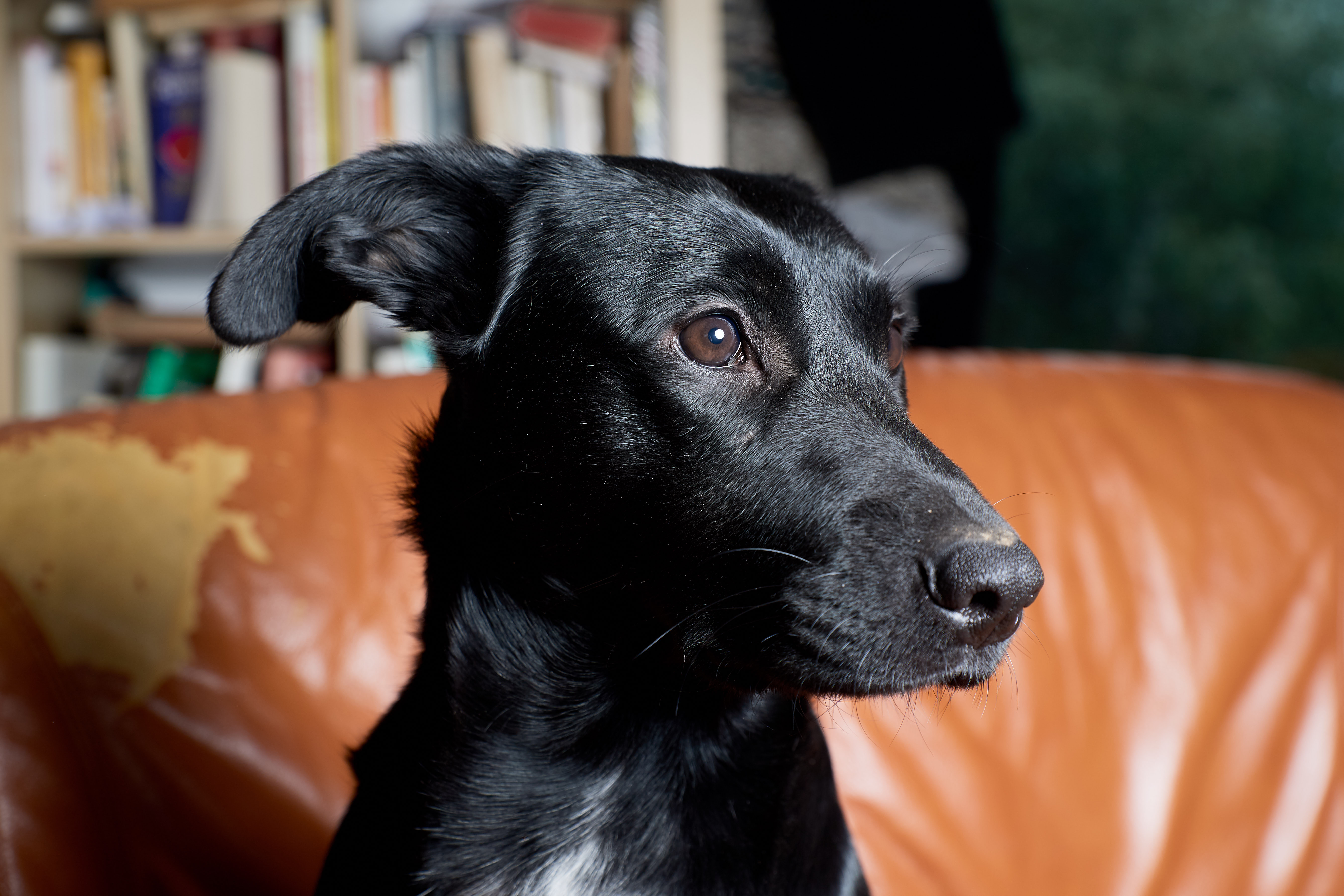 Article sans titre 1398